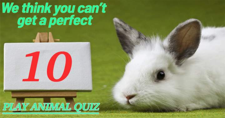 Hard Animal Quiz