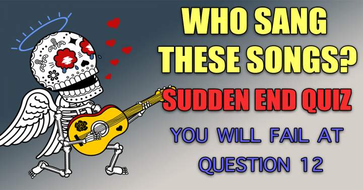 The singer of the Sudden End Quiz.