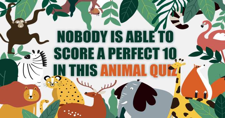 Quiz about animals.