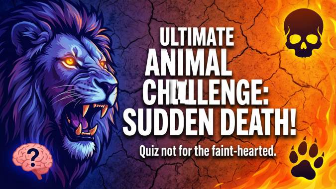 Banner for Think you're an animal expert? Take on this super challenging sudden death quiz!