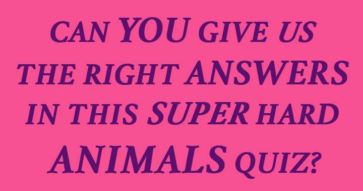 Banner for Do You Know The Right Answers?