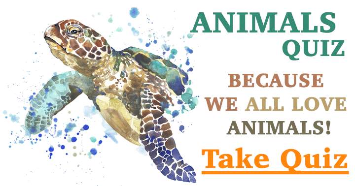 Banner for Animals Quiz