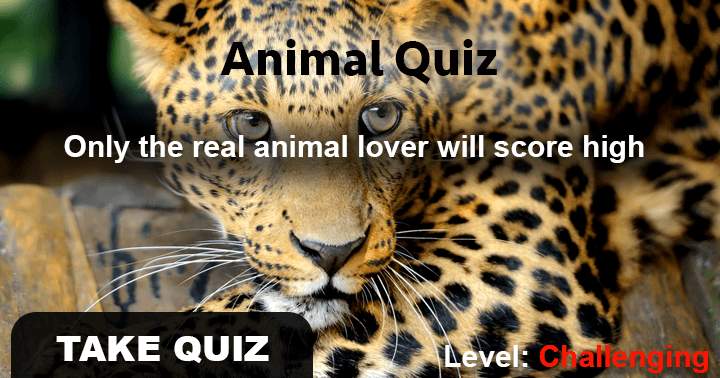 Banner for 10 very hard questions about animals only a zoologist can answer