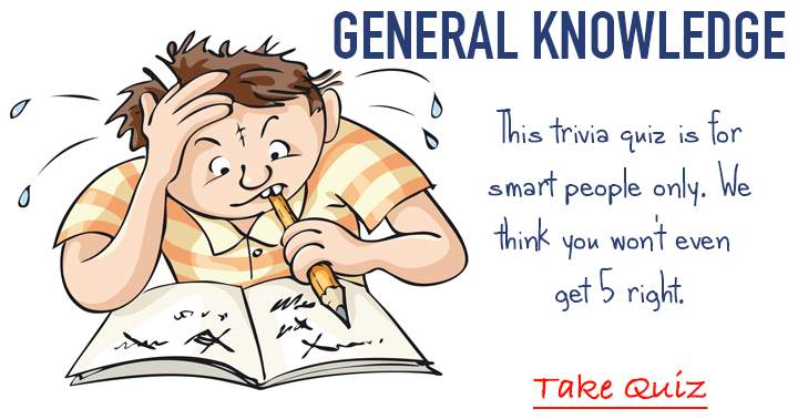 Banner for Fun general knowledge trivia quiz, only for the Brain Box.