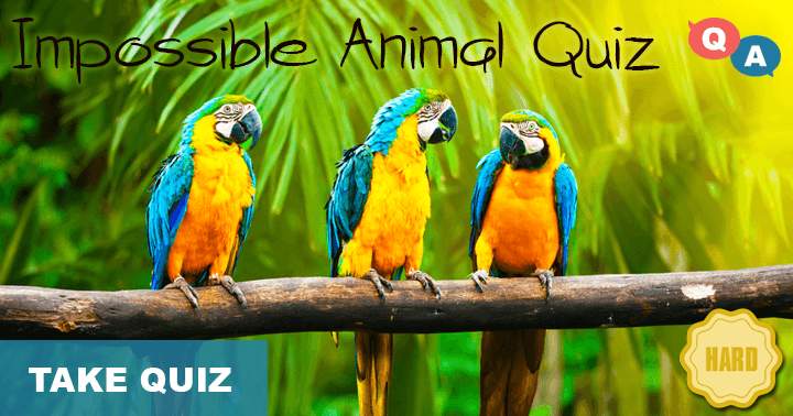 Banner for Can you score a 5/10 or better on this very hard animal quiz?