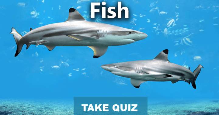 Banner for 10 very challenging questions about fish, Take the test.