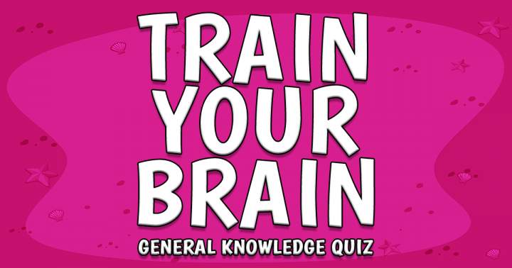 Trivia Brain Trainer