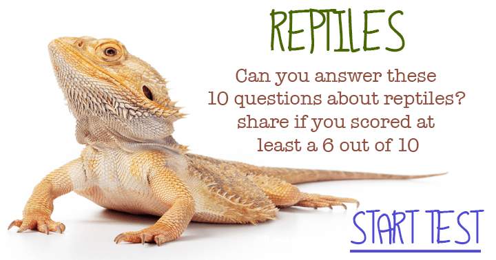 Banner for Category: Reptiles,  Questions: 10, Level: Moderate. Share if you scored a 6 or better.