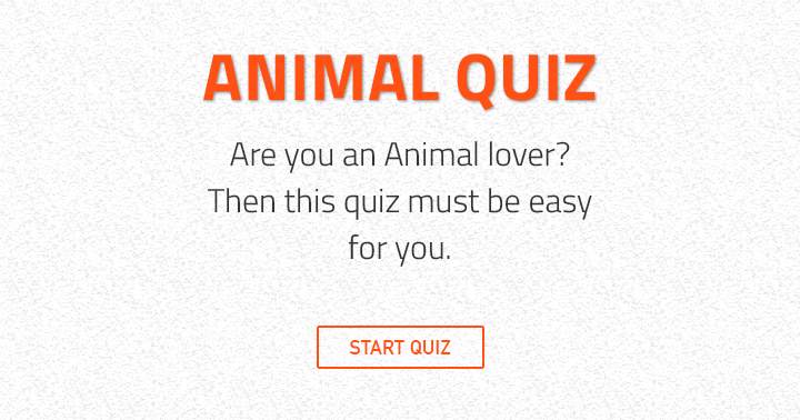 This quiz is for animal lovers only!