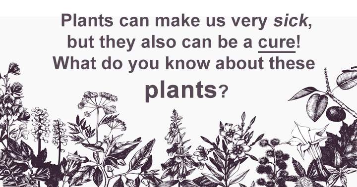 Banner for Plants can make us very sick, but they also can be a cure! What do you know about these plants?
