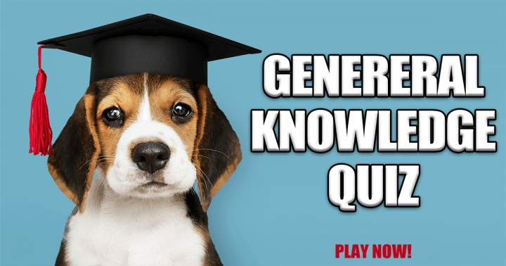 General Knowledge Quiz